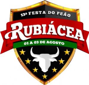 13ª FESTA DO PEÃO 2024