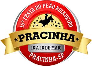 15ª FESTA DO PEÃO PRACINHA 2024